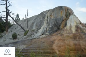 Mammoth Springs