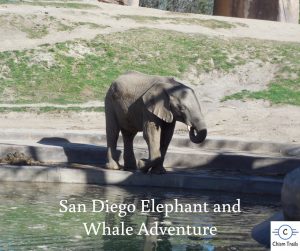 San Diego-Fun-Adventures